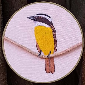 Bem-te-vi - Bordado a Mão em Bastidor - Bordando Aves