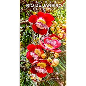 Guia de Flores do Rio de Janeiro