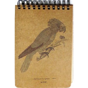 Anacã caderneta de campo - 100p - coleção arte naturalista