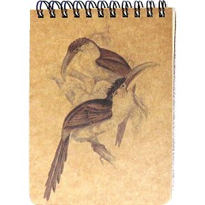 Araçari-mulato caderneta de campo - 100p - coleção arte naturalista