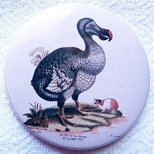 Dodô - botton metálico P coleção naturalistas
