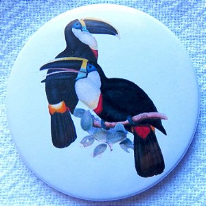 Tucano-de-bico-preto - botton metálico G coleção naturalistas