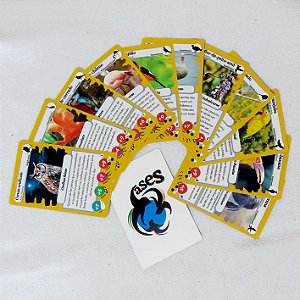 Ases 2 - jogo de cartas com aves do Cerrado