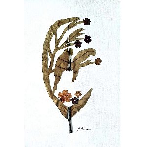 Araras - arte orgânica em folha de cajueiro Regiane Bassani