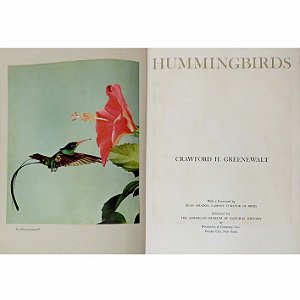 Hummingbirds by Greenewalt - USADO