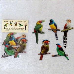 Coleção Aves da Mata Atlântica 2 - ímãs decorativos