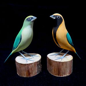 Saíra-amarela-casal - Miniatura madeira Valdeir José