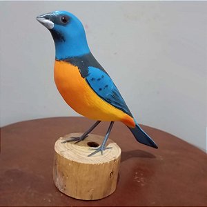 Sanhaço-papa-laranja - Miniatura madeira Valdeir José