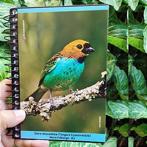 Saíra-douradinha caderneta capa dura - 160p - Ana Gadini