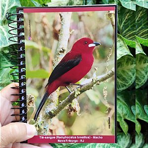Tiê-sangue caderneta capa dura - 160p - Ana Gadini