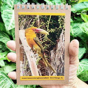 Araçari-banana caderneta P - 100p - Ana Gadini