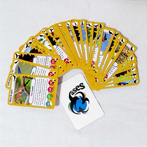 Ases 5 - jogo de cartas com aves do Caatinga