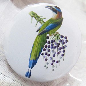 Udu-de-coroa-azul - botton metálico P coleção naturalistas
