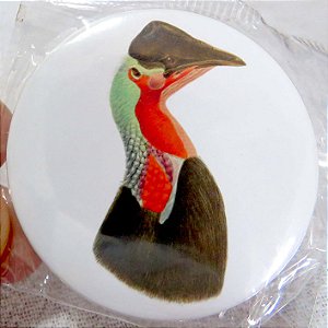 Casuar do norte 2 - ímã metálico coleção arte naturalista