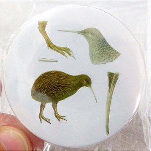 Quiwi - ímã metálico coleção arte naturalista