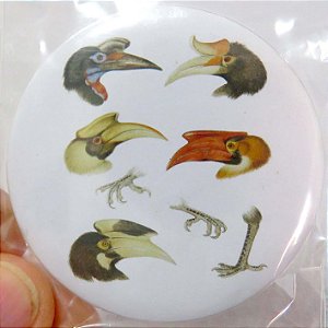 Calaus - ímã metálico coleção arte naturalista