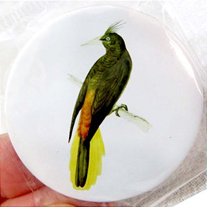 Japu - ímã metálico coleção arte naturalista