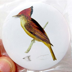 Maria-leque-do-sudeste 1 - ímã metálico coleção arte naturalista