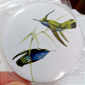 Beija-flor-de-topete-azul - ímã metálico coleção arte naturalista