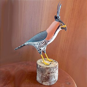 Gavião-de-penacho - Miniatura madeira Valdeir José