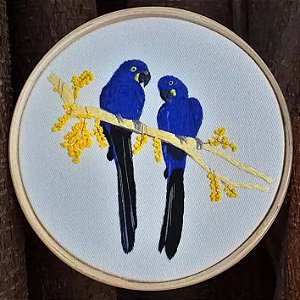 Arara-azul - Bordado a Mão em Bastidor - Bordando Aves