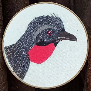 Jacu - Bordado a Mão em Bastidor - Bordando Aves