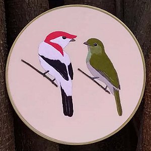 Soldadinho-do-araripe casal - Bordado a Mão em Bastidor - Bordando Aves