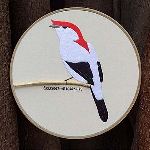 Soldadinho-do-araripe - Bordado a Mão em Bastidor - Bordando Aves