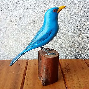 Campainha-azul - Miniatura madeira Valdeir José
