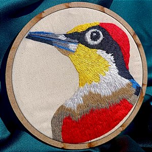 Benedito-de-testa-amarela - Bordado a Mão em Bastidor - Entre Amigas