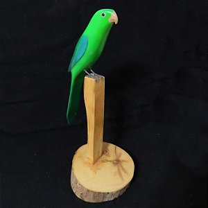 Periquito-rico - Miniatura madeira Valdeir José
