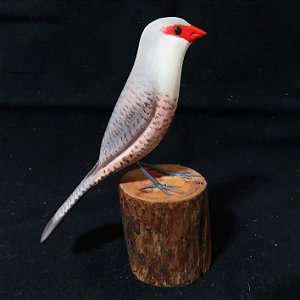 Bico-de-lacre - Miniatura madeira Valdeir José