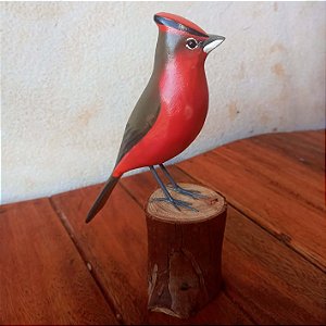 Tico-tico-rei - Miniatura madeira Valdeir José