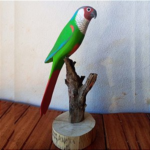 Tiriba-de-cara-suja - Miniatura madeira Valdeir José