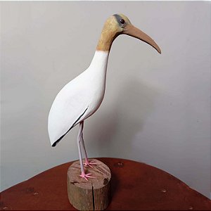 Cabeça-seca - Miniatura madeira Valdeir José