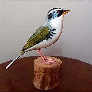 Tico-tico-de-máscara-negra - Miniatura madeira Valdeir José