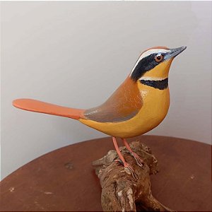 Meia-lua-do-cerrado - Miniatura madeira Valdeir José