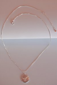 Colar medalha espirito santo