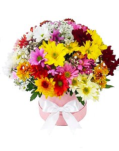 Box de Flores do Campo