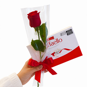 Mimo de Rosa e Raffaello