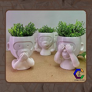 Trio Monkeys - Sentidos