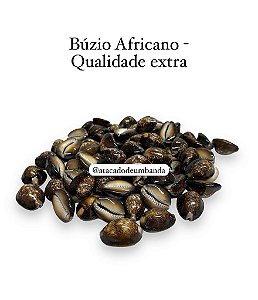 BÚZIOS MARROM 500G