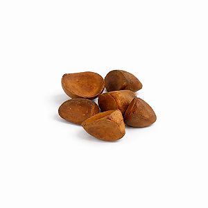 FAVA DE OXUM - ANDIROBA