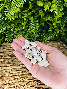 FAVA DE OXALÁ (DÚZIA)