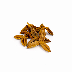 FAVA DA PROSPERIDADE (DÚZIA)