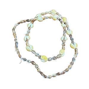 GUIA ESPECIAL CONCHINHAS DO MAR