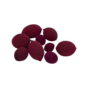 FAVA DA SEDUÇÃO