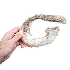 Rabo de Ovino Carneiro Desidratado Mordedor 100% Natural Para Cães Lecker 2 Unidades
