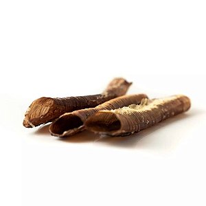Traqueia de Avestruz Desidratada Mordedor 100% Natural Para Cães Lecker 4 Unidades