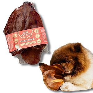 Orelha Suína Mordedor 100% Natural Para Cães Lela Suina 2 Unidades AlecrimPet